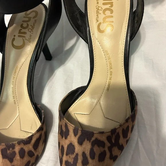 Circus Sam Edelman Tabitha Leopard Brown and Black Pointed Toe Heels size 7 - Picture 6 of 10